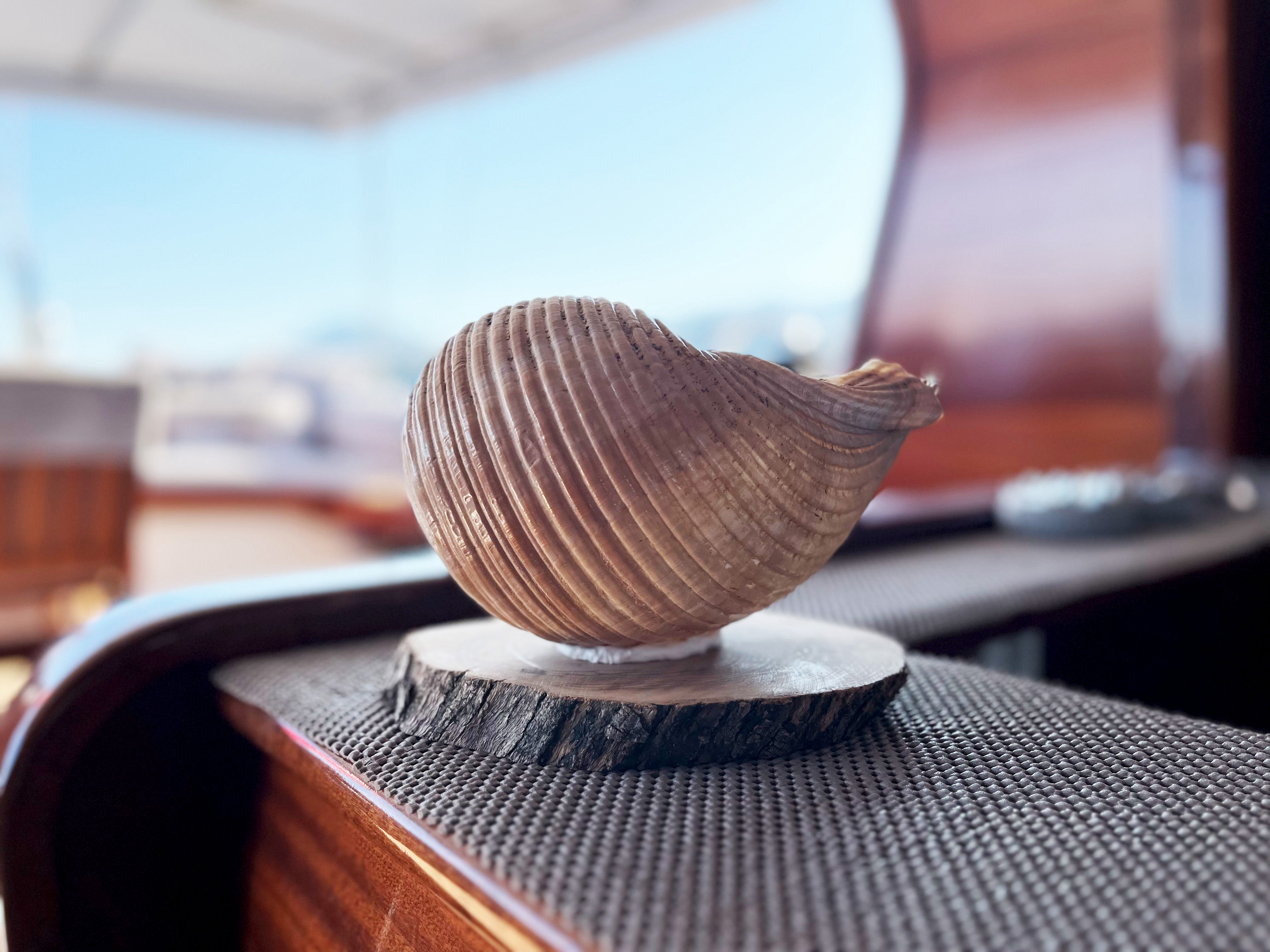 Everday Holiday Yachting